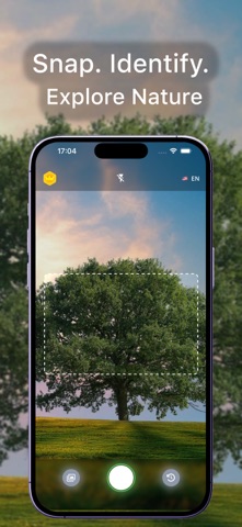 Tree identifier - Ai Scanner Screenshot 1 of 5