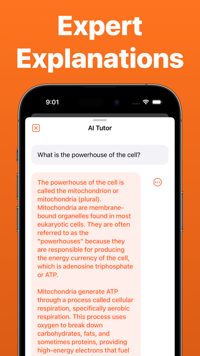AI Homework Helper - TutorPal Screenshot