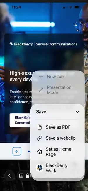 BlackBerry Access screenshot 3
