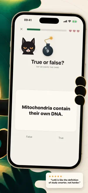 Lotli - Study Smarter screenshot 2