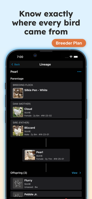 Flockstar Screenshot 5 of 10