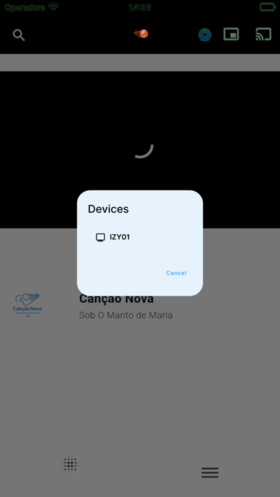 MINHA NETTV screenshot