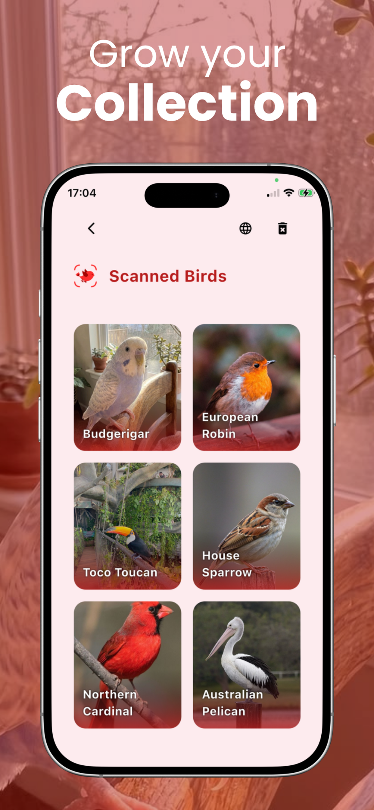 Bird Identifier: Call ID