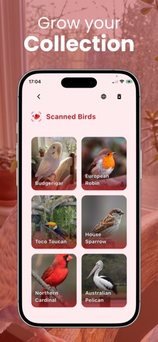 Bird Identifier: Call ID iPhone screenshot
