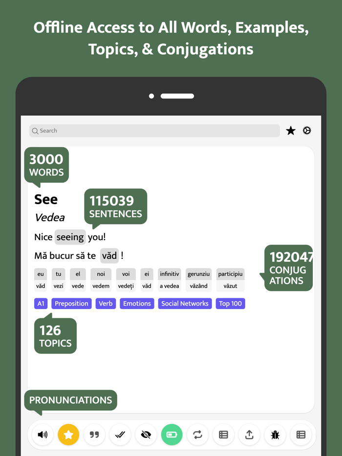 Most Common Romanian Words