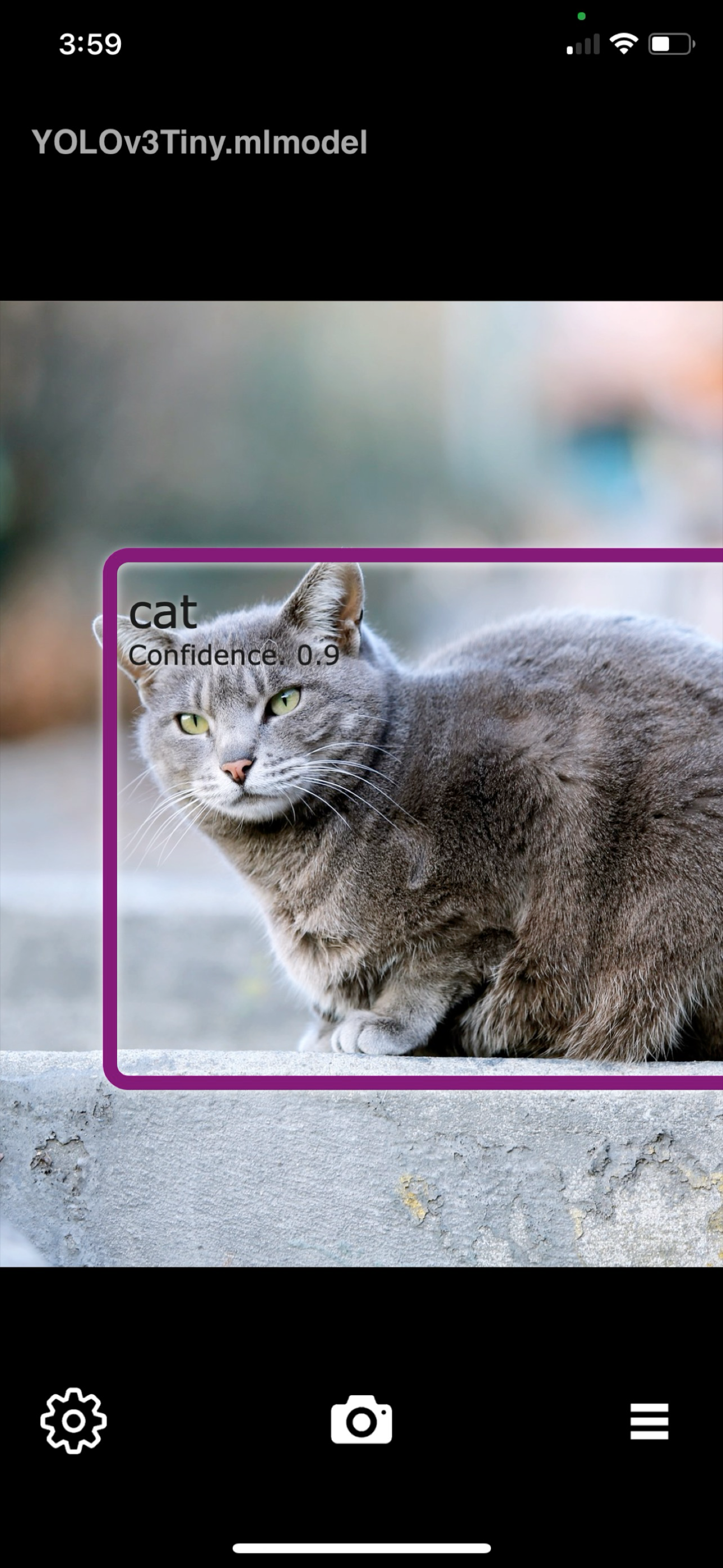 Object Detection Cam screenshot 2