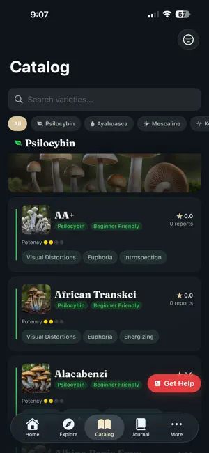 TripTalk — Safe Journeys screenshot 3