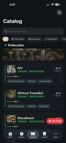 TripTalk — Safe Journeys screenshot