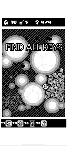 Find Key screenshot