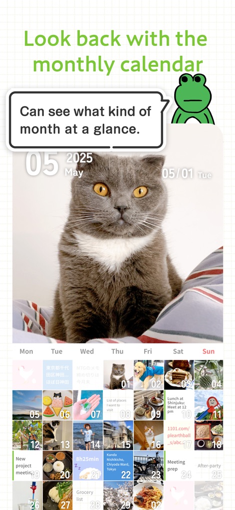 Hobonichi Techo App - El calendario mensual ofrece una vista general de las actividades con una foto principal y miniaturas de imágenes diarias para cada entrada.
