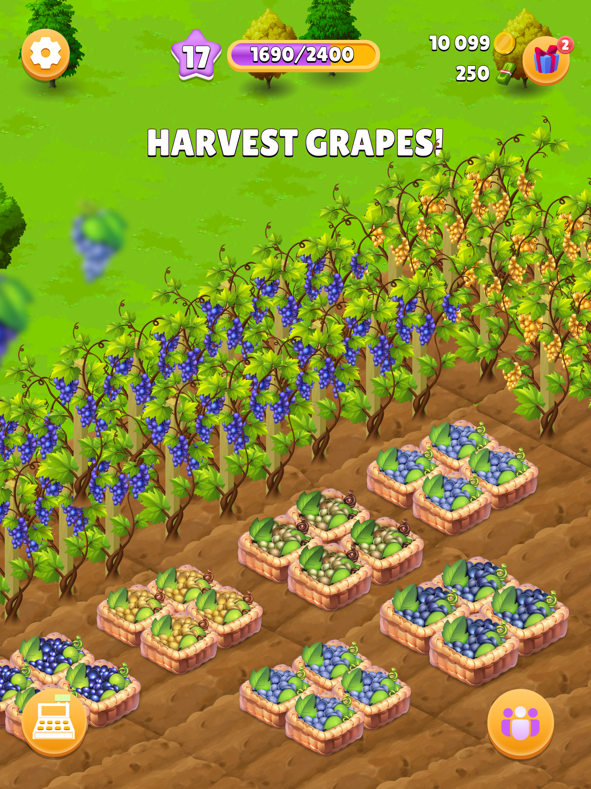 Grape Day