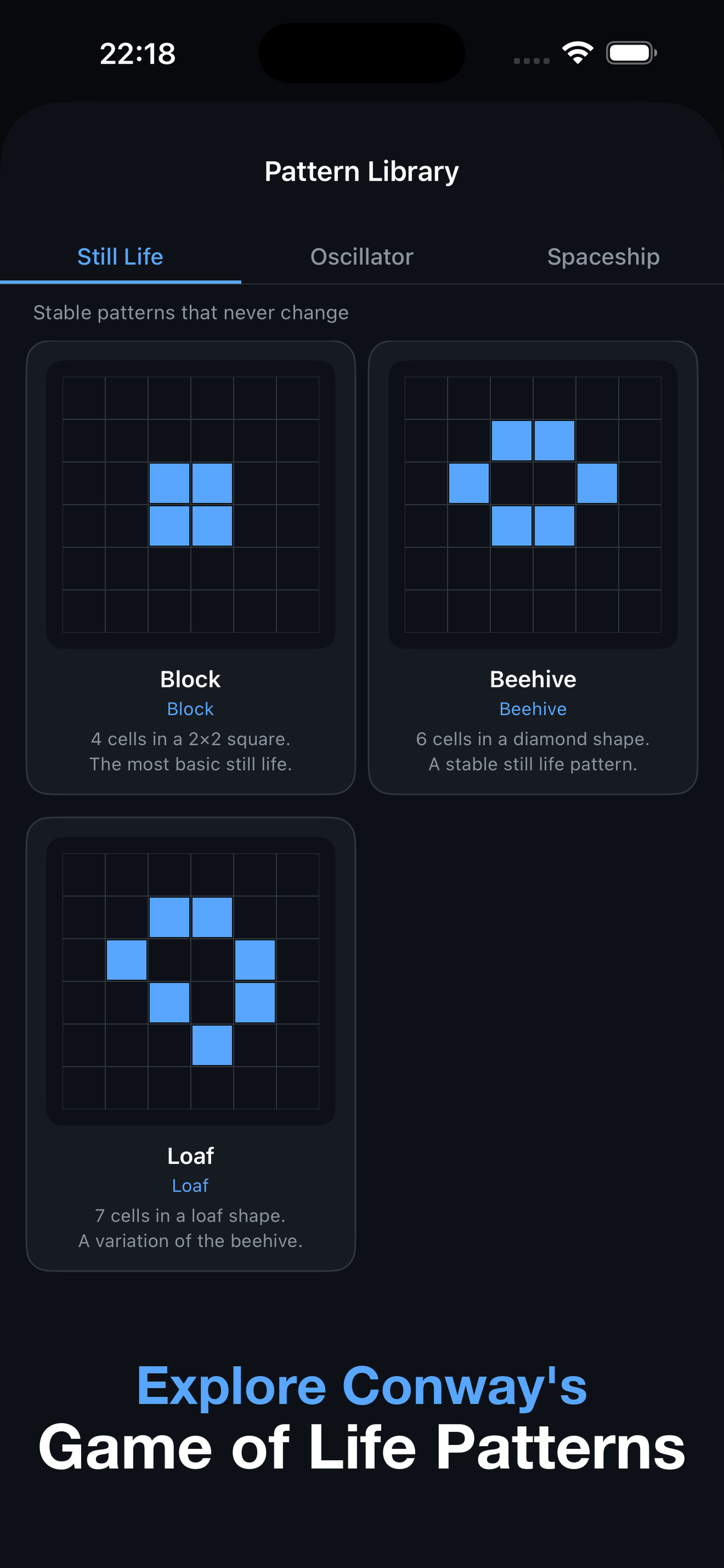 Game Of Life Puzzle screenshot 4