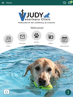 Judy Veterinary Clinic screenshot 6