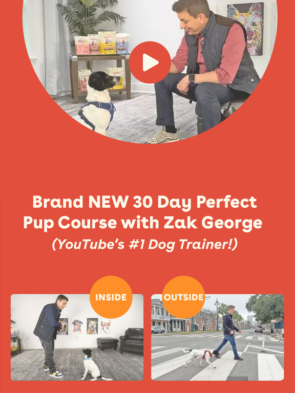 Pupford: Puppy Training iPad screenshot 5 - Lifestyle app