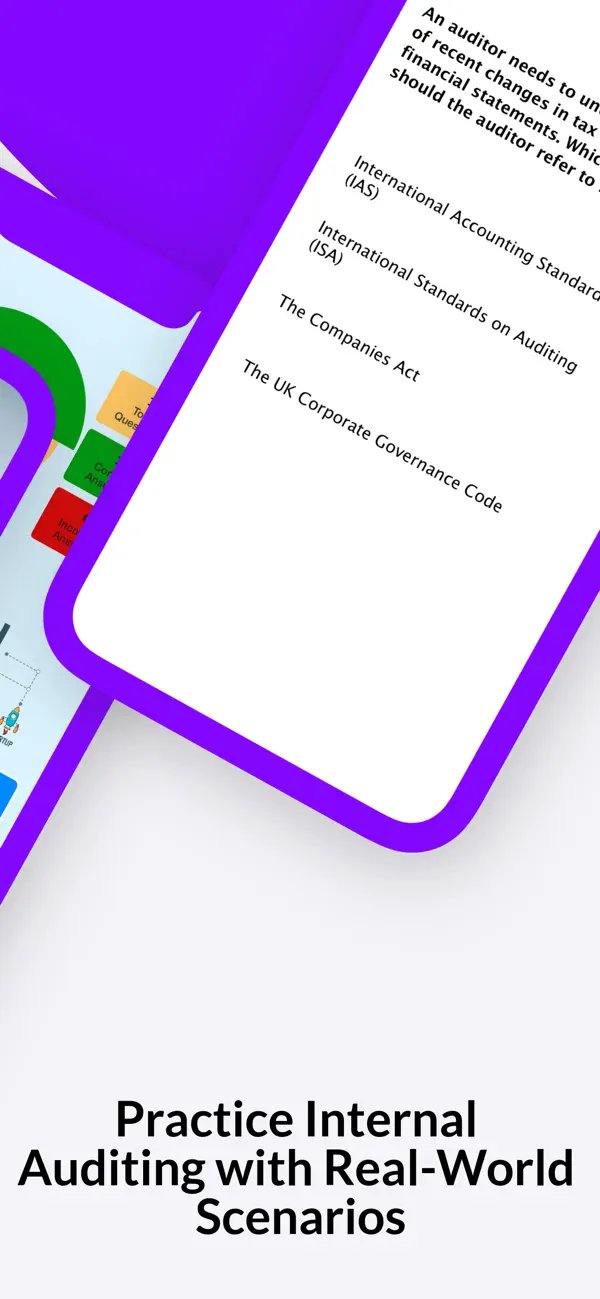 Screenshot #3 pour IIA-CIA Exam Prep: All Parts