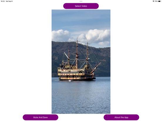 Screenshot #6 pour Muet Son Vidéo PRO