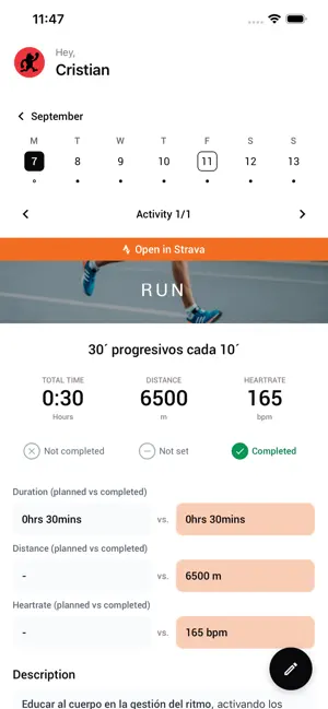 Training Monkeys screenshot 3
