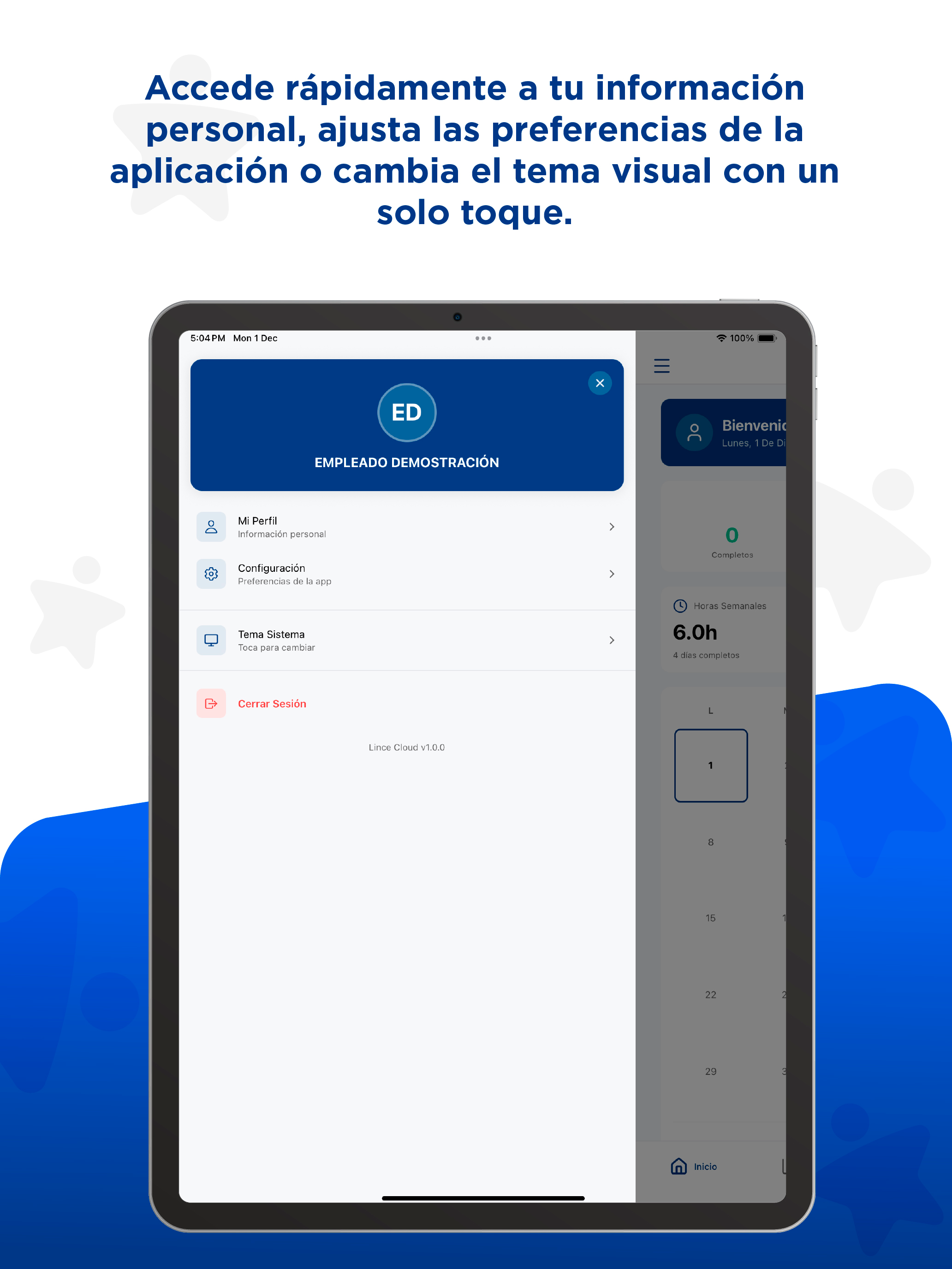 LinceCloud screenshot 9