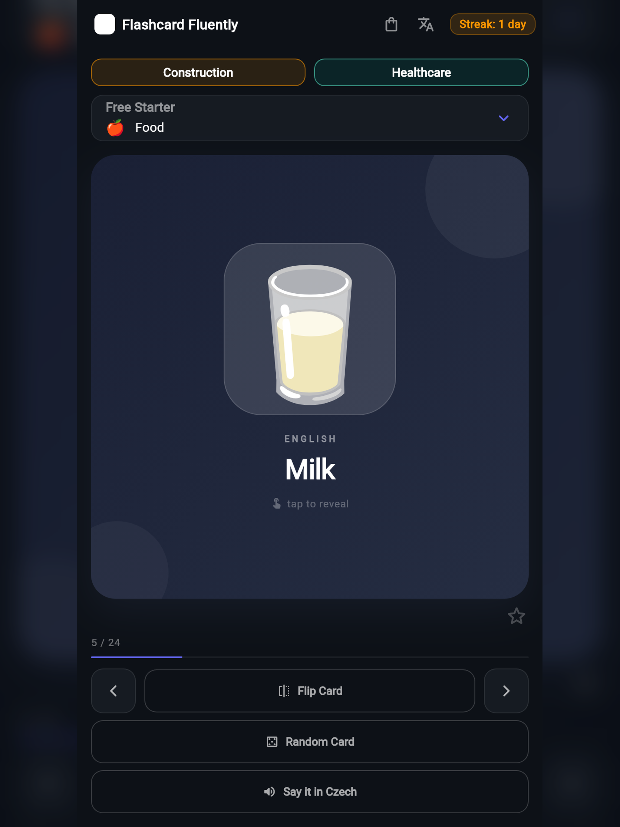 Learn Czech Flashcards screenshot 6