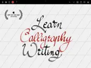 tayasui calligraphy айпад изображения 1