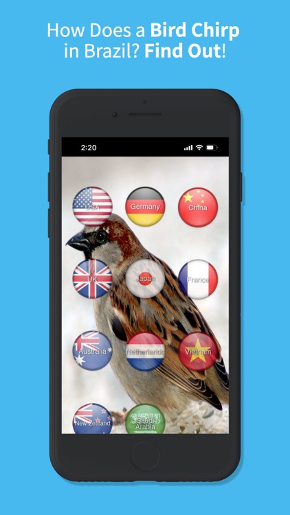 Animal Sounds Translator screenshot-5