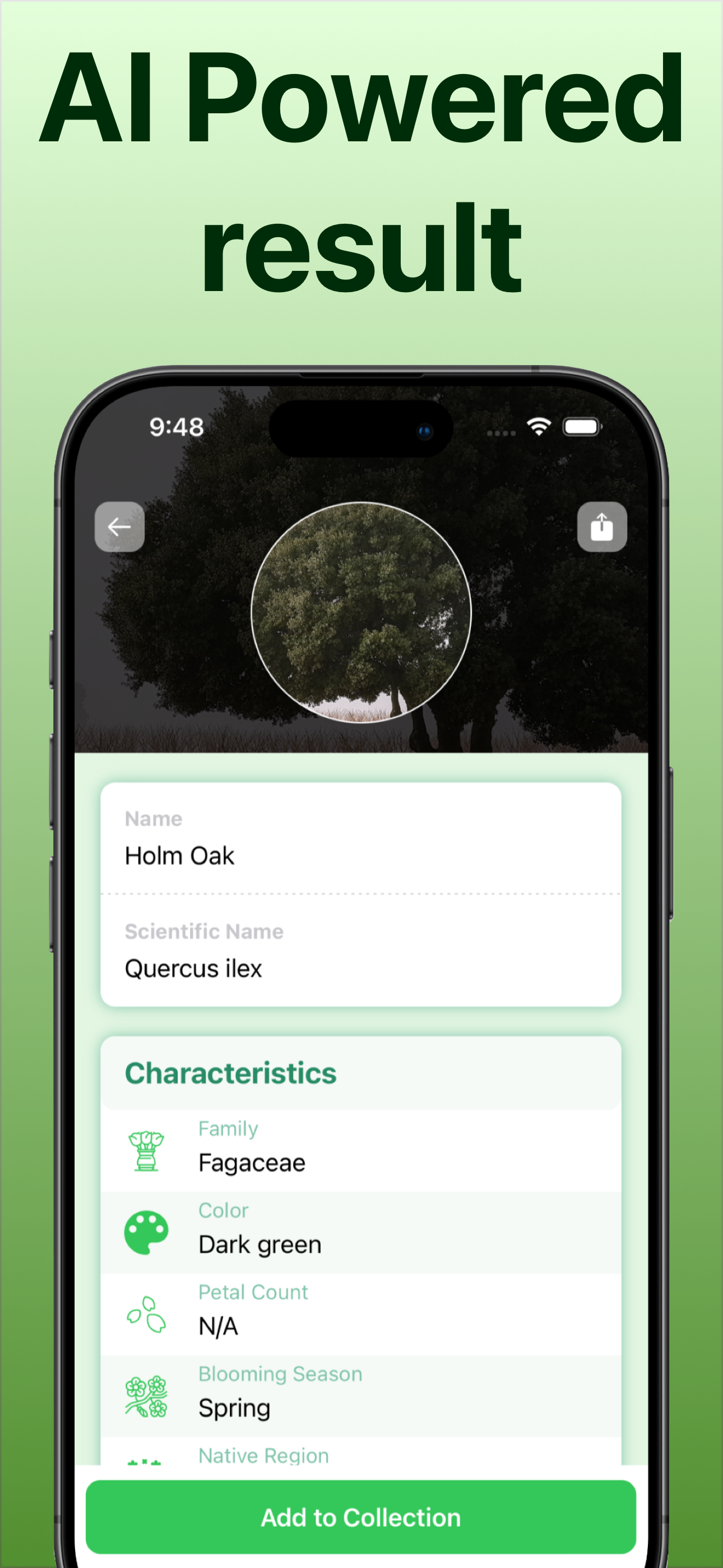 Tree Identifier: Tree id