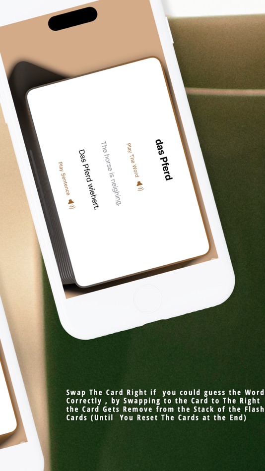 #7. Flashcards INGOAMPT German B1 (iOS) 由: INGOAMPT