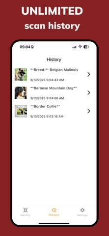 Dog Identifier—Breed Scanner Screenshot 3 of 4