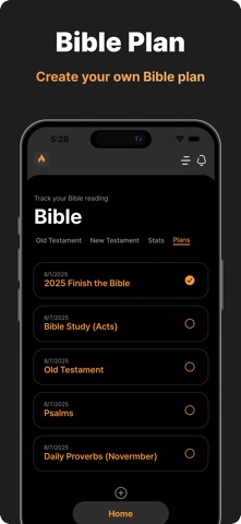 Rise: Track Bible Reading screenshot