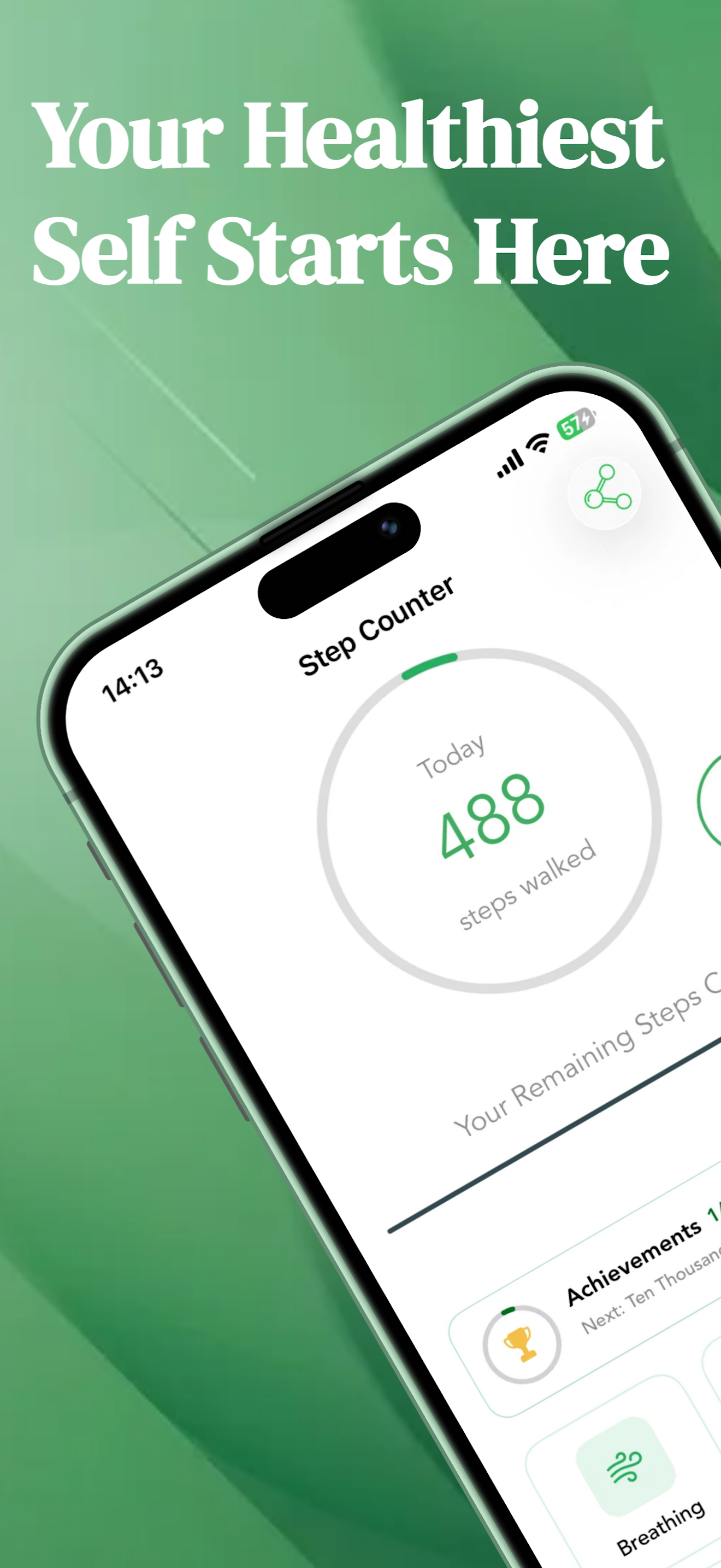 The Pedometer: Step Counter