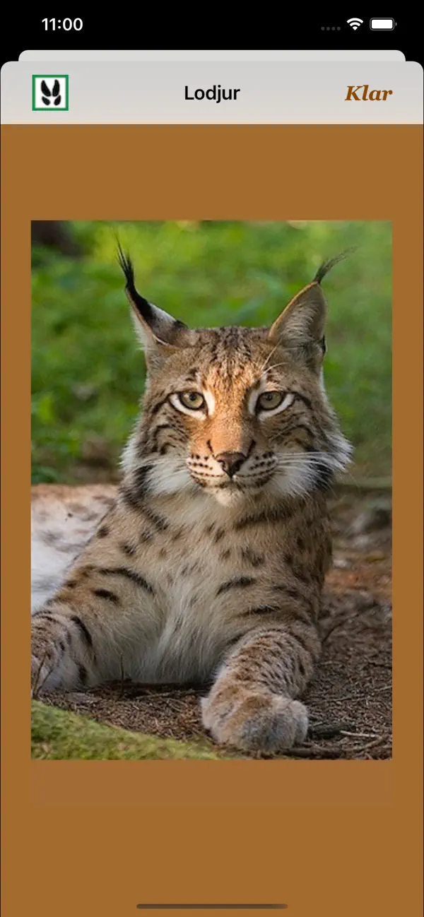 #3. Viltspår (iOS) โดย: domesticusdevelop