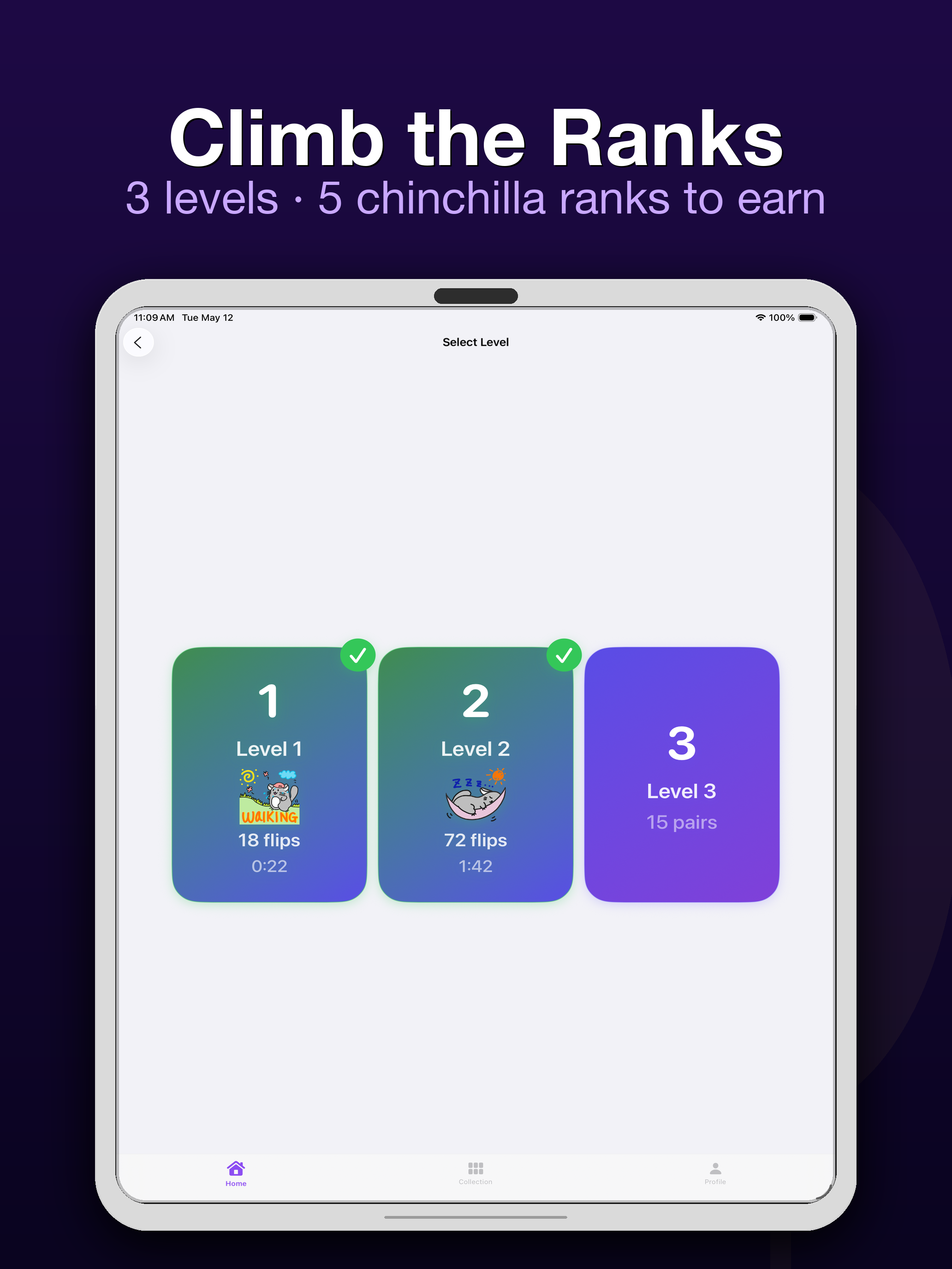 Chinchilla Memories screenshot 8