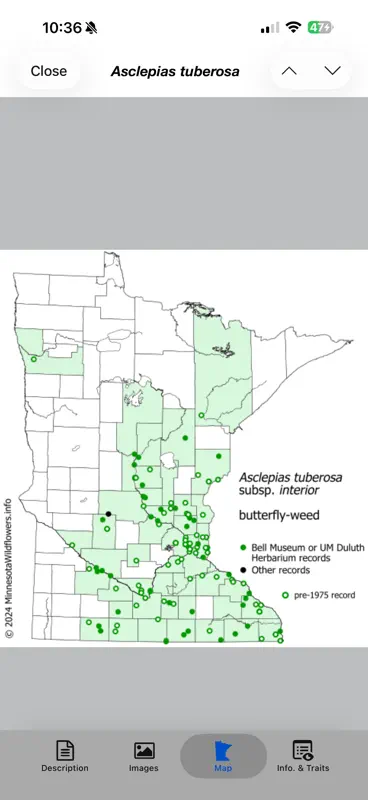 Minnesota Wildflowers Info. screenshot 8 of 10