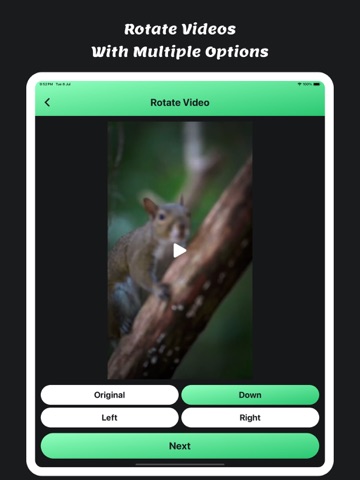 Mute Video : Remove Sounds iPad screenshot