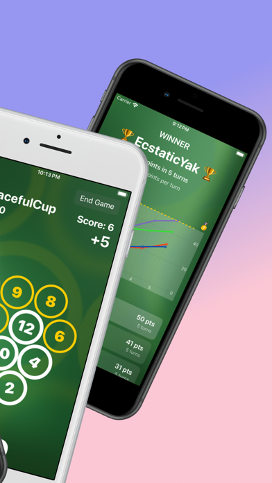 Stick Score for Mölkky iPhone screenshot 2 - Sports app