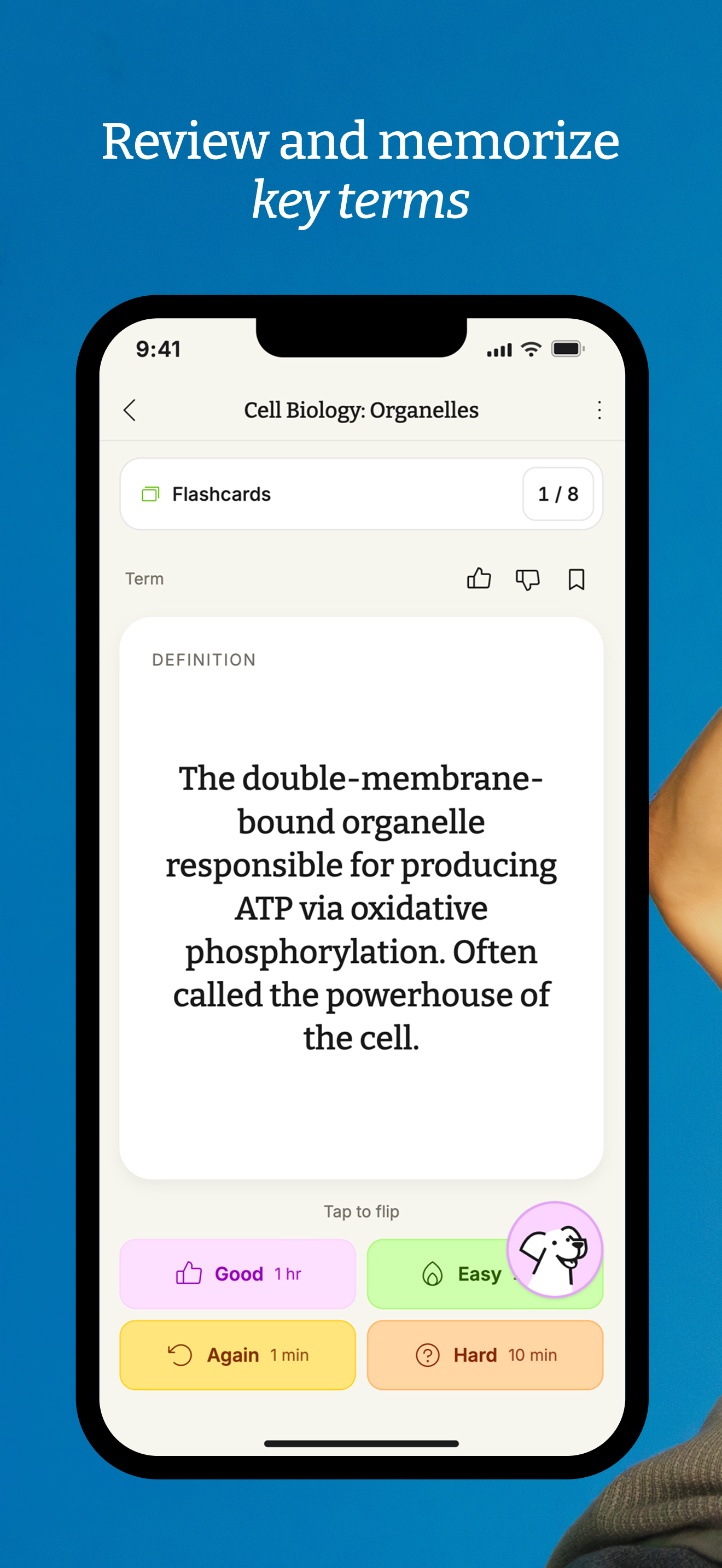StudyFetch: Make Learning Easy screenshot 4