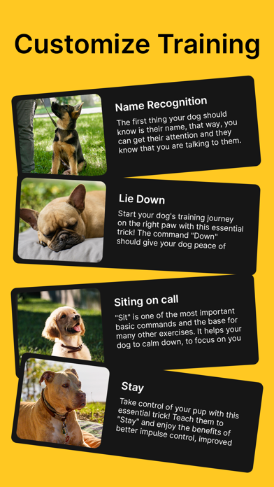 Dog Training & Pet Care Tricks Screenshot