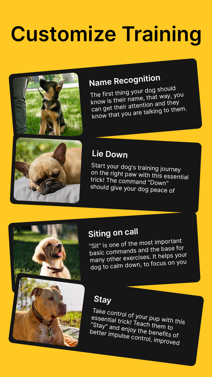 Dog Training  Pet Care Tricks