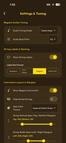 Zema Begena Screenshot 6 of 10