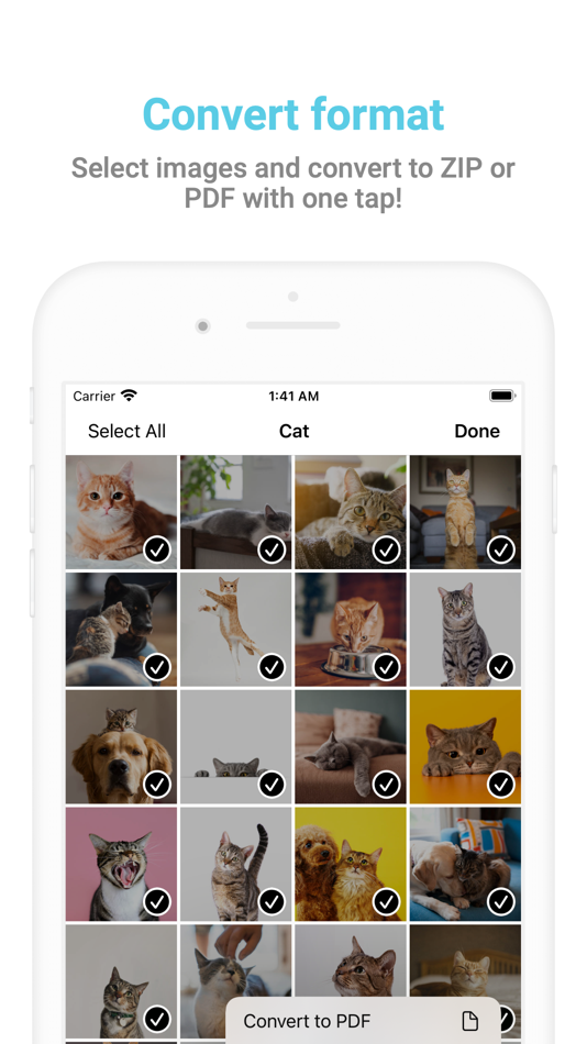 #5. Web Image Downloader - Picket (iOS) โดย: Tsubasa Takahashi