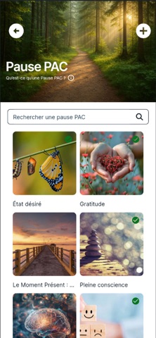 Instant PAC screenshot