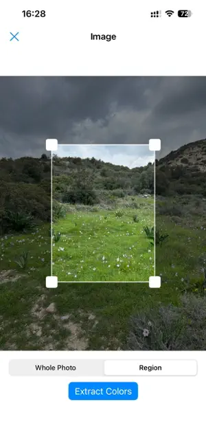 Palette Generator from Image screenshot 3