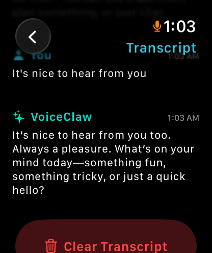 VoiceClaw Realtime screenshot 13