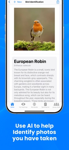BirdBeacon - Live Bird Alerts screenshot