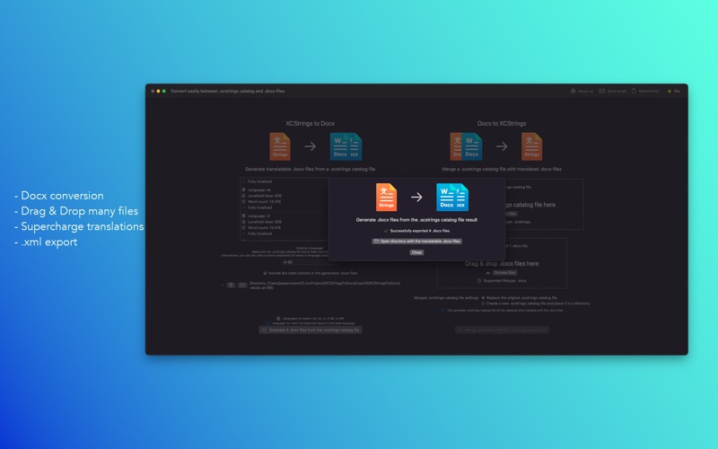 XCStrings Catalog Docx Convert screenshot