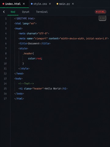 TrueCode: Code Editor & IDE iPad screenshot 1