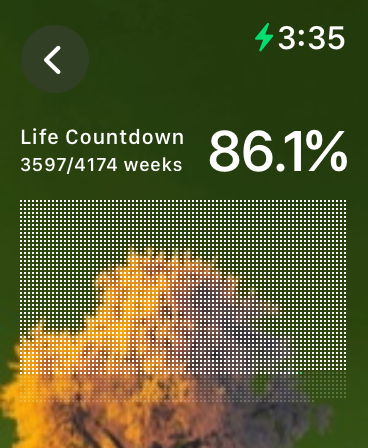 Day Counter widget