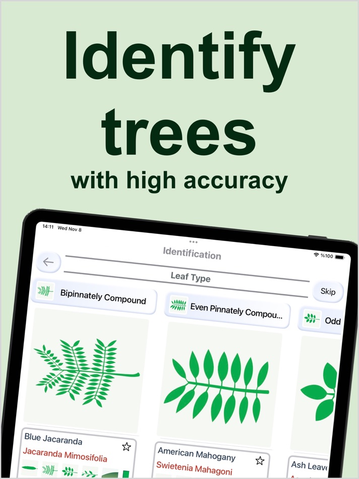 #1. Forest Tree Identification (iOS) Podle: Kesifler Dunyasi Ltd.