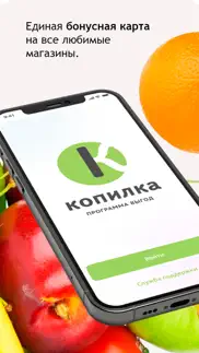 Копилка — программа выгод айфон картинки 1