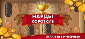 Нарды Длинные онлайн и офлайн screenshot 2